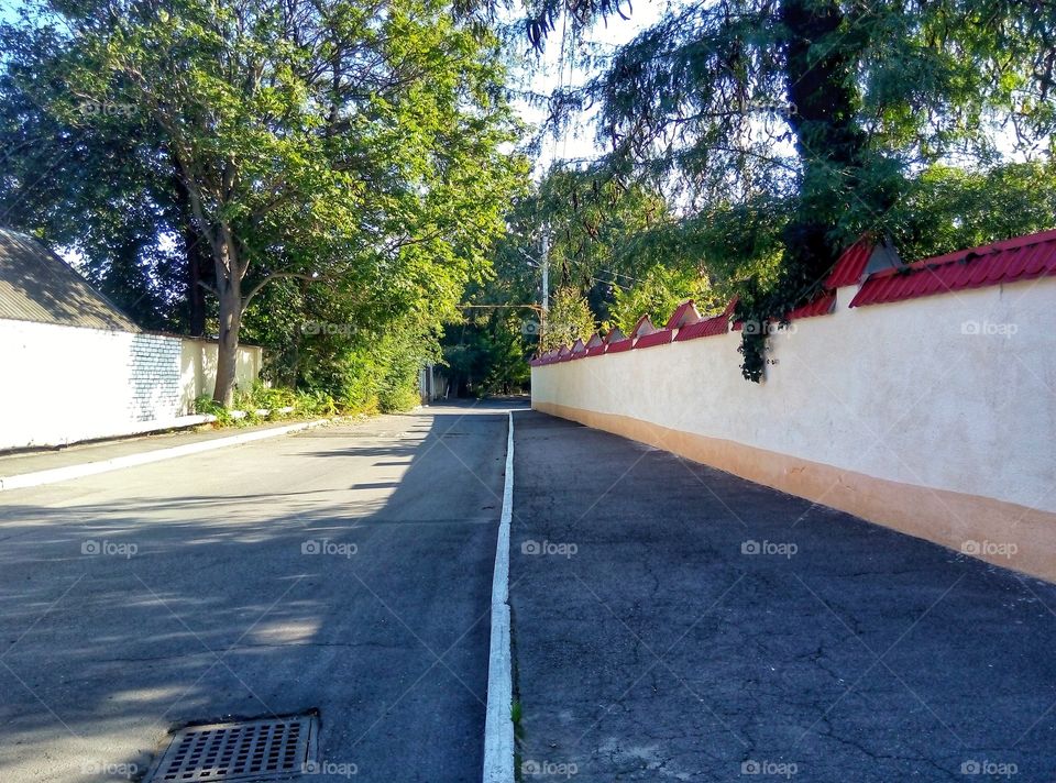 Road, Tree, Street, Landscape, Guidance