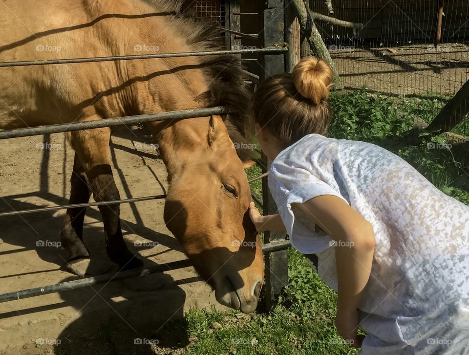 Horses