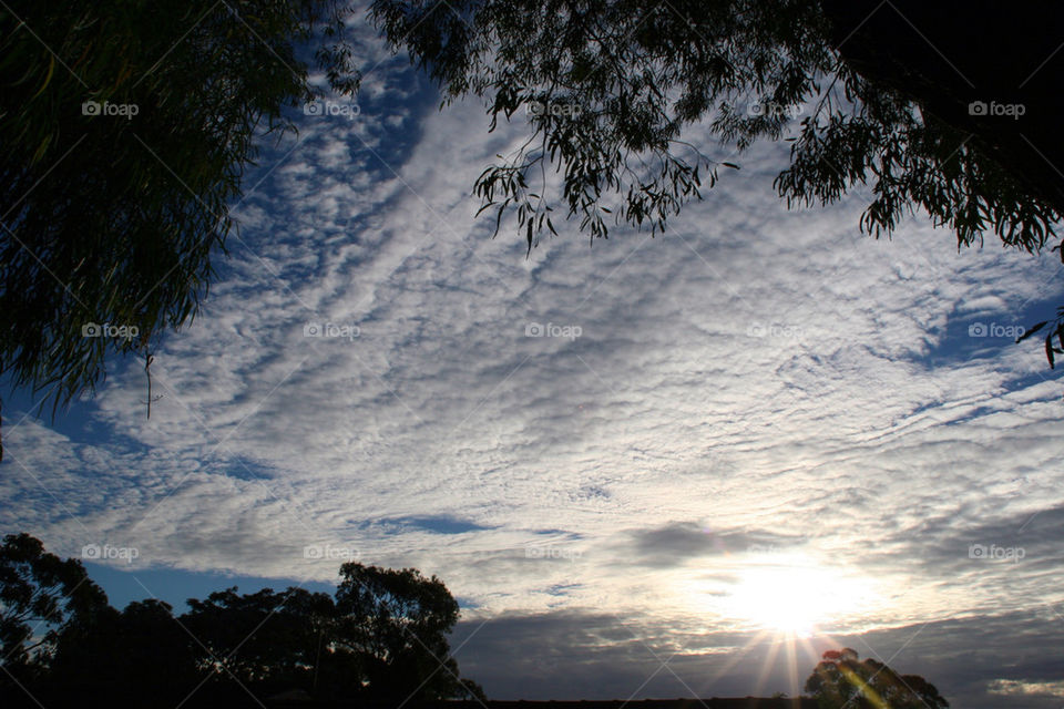 sunset sun trees cloud by kshapley