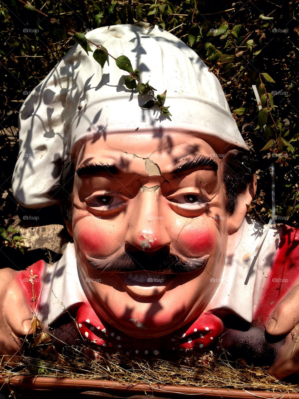 man cook turkey mistake by linhof