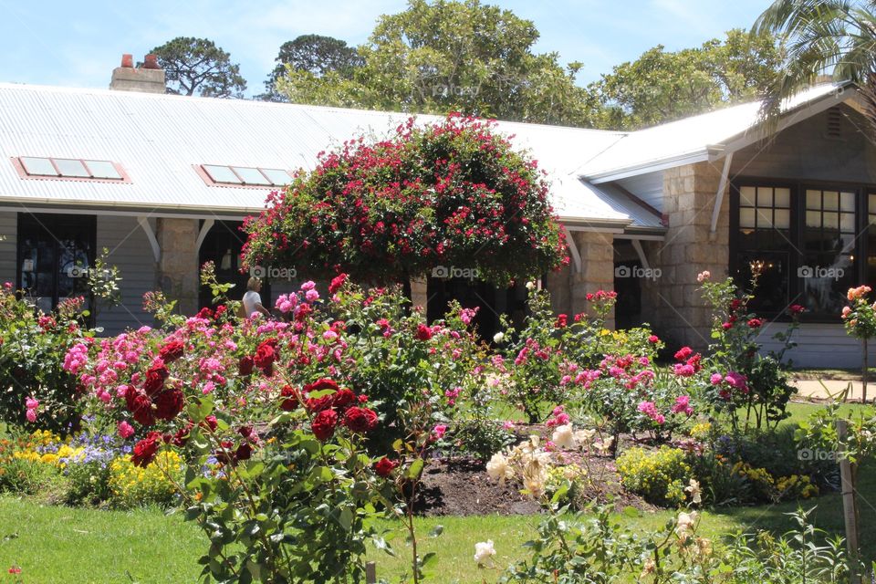 Beautiful colourful garden in a tourist setting