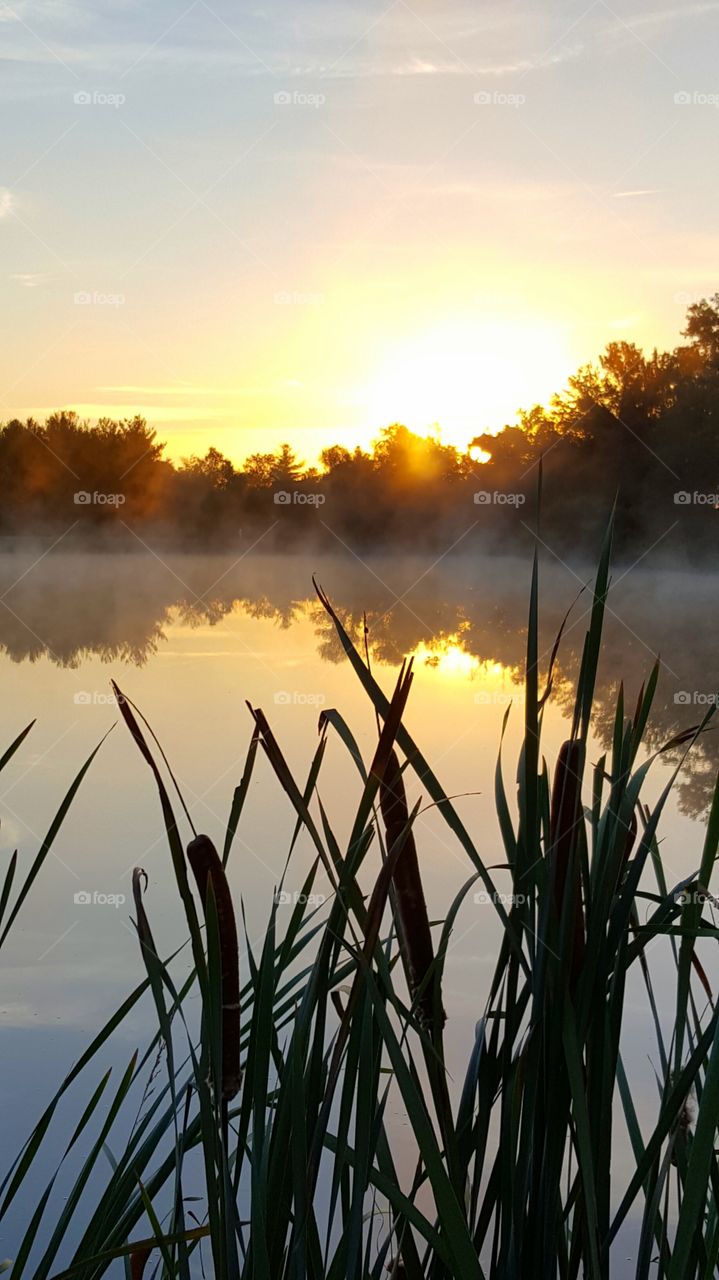 autumn morning at the pond