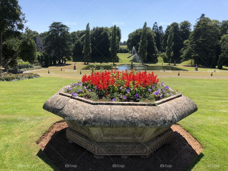 This photo is your guide to one of the main features of this garden, it’s very strong presence of formidable trees,this floral feature gives the trees their recognition, sometimes even over the lake.