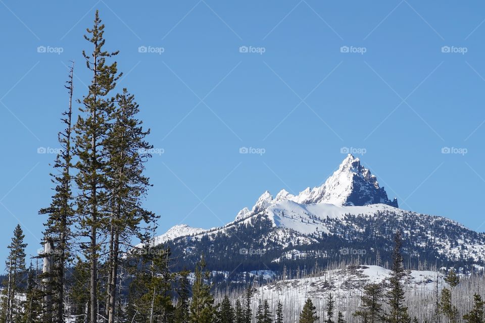 The magnificent snow covered Three Fingered Jack in Oregon’s Cascade Mountain Range against a clear blue sky on a beautiful spring day. 