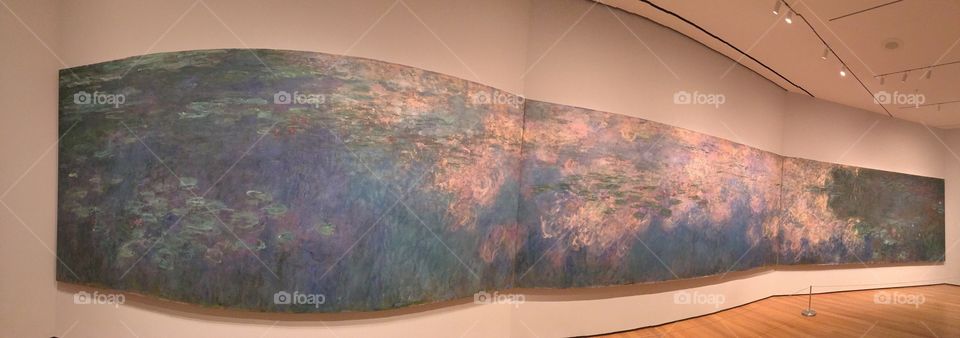 Claude Monet in Modern Museum of Art, New York City 