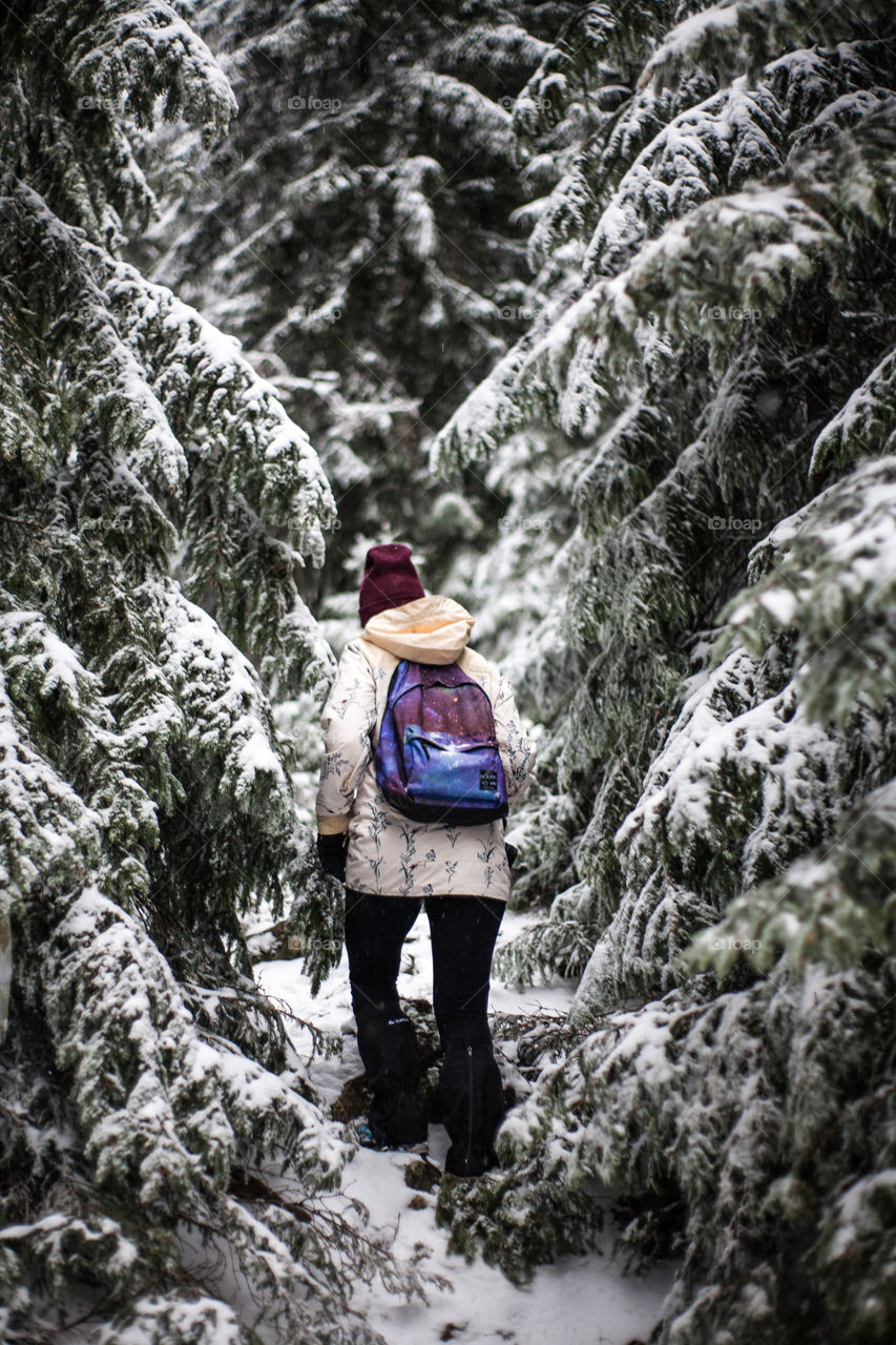 path towards the forest