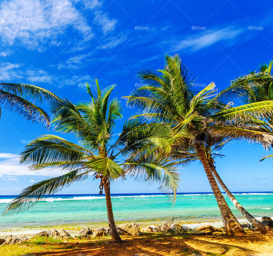 Beach, Sand, Island, Tropical, Seascape