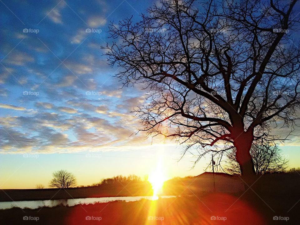 sun going down behind trees and water