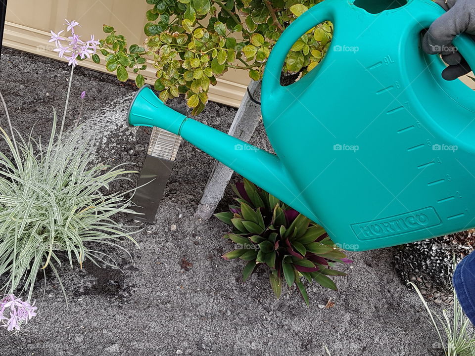 green watering can