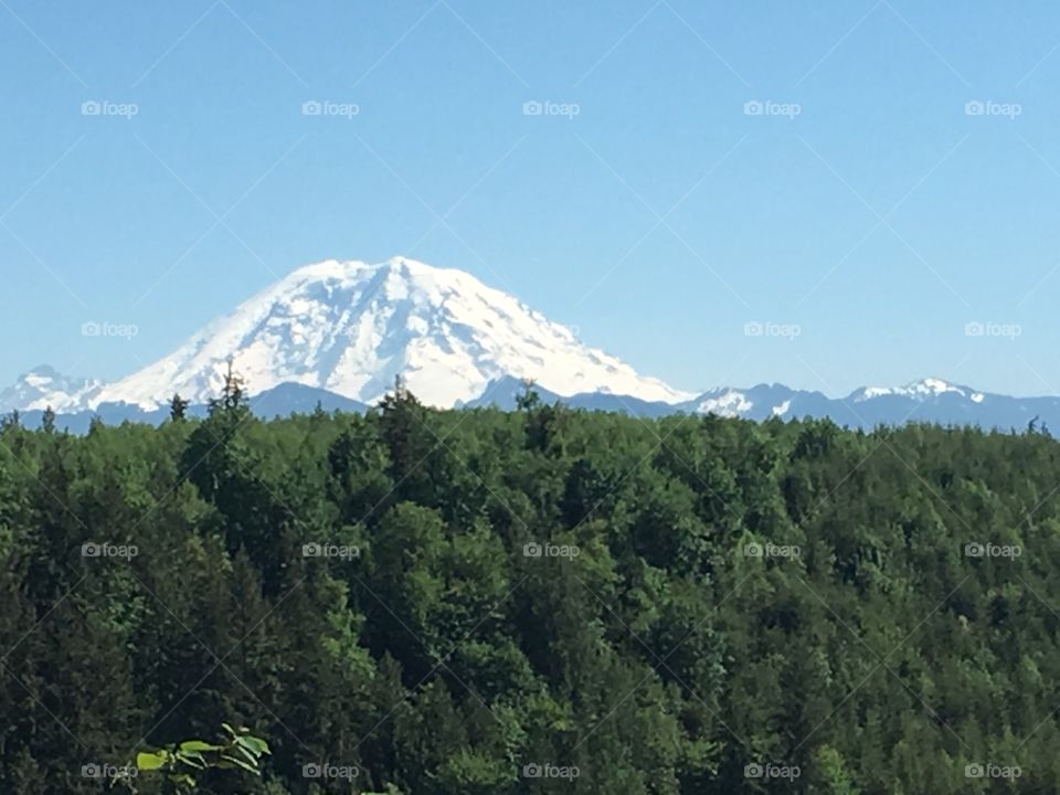 Mt Rainier 