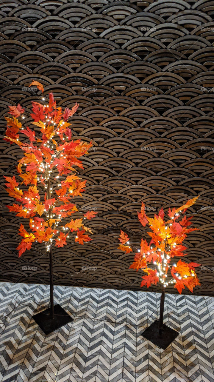 A pair of lighted trees found in am NYC restaurant