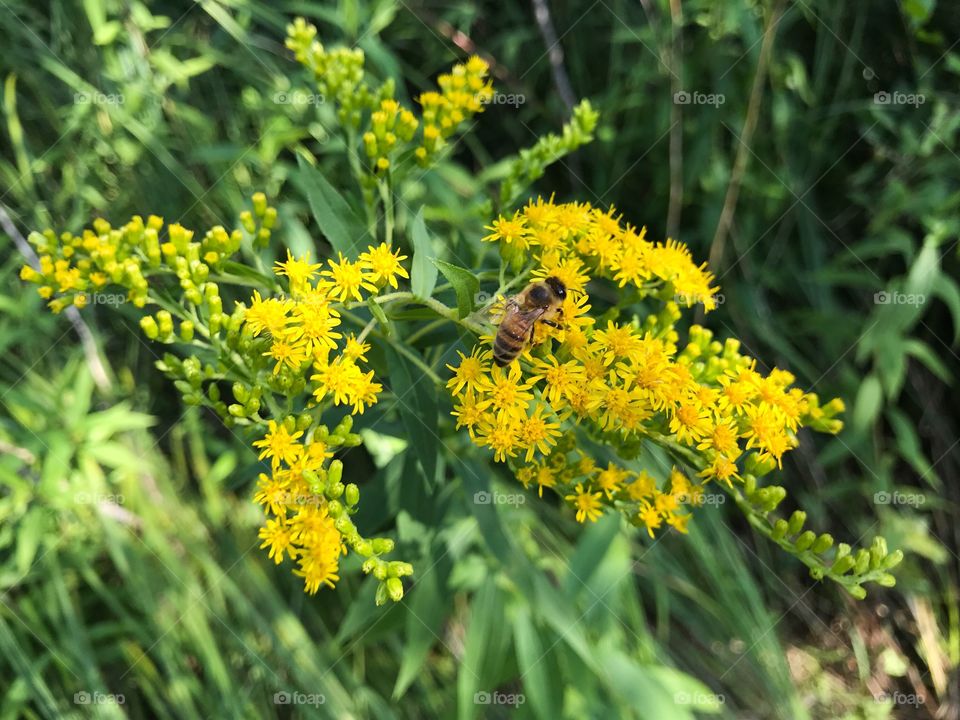 Bleiki Naturschutzgebiet 