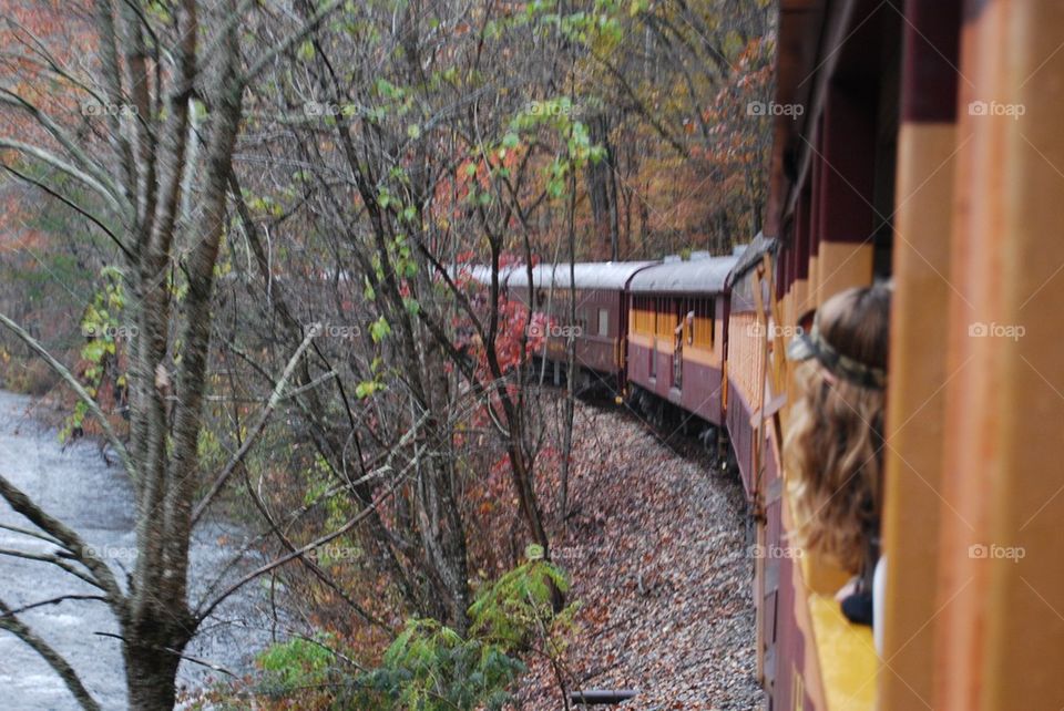 Train cars around a curve