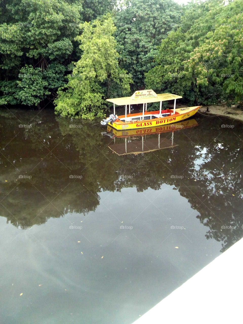 this picture is the best picture you have see this picture makes your mine think a hold lot