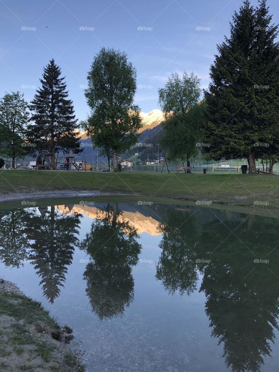 Trees in the Reflection of Mountainlake , Austrian Alps