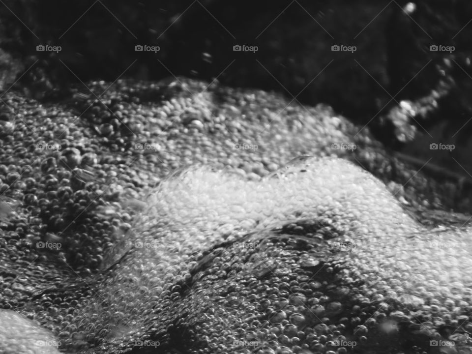 Water bubbles in black and white