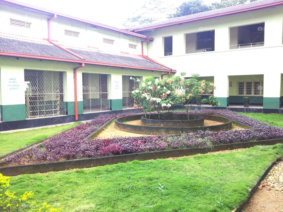 School cortyard Ratnapura Sivali Sri Lanka