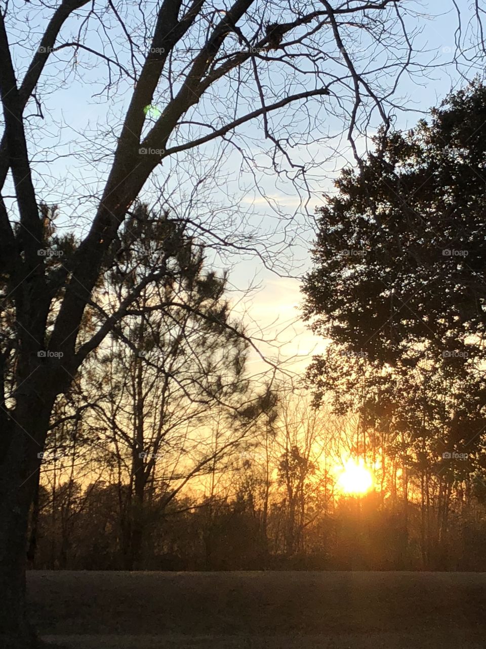 Sunrise 