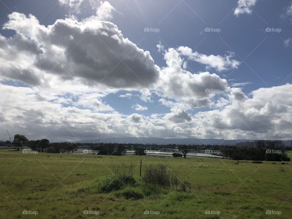 Clouds and grass landscape