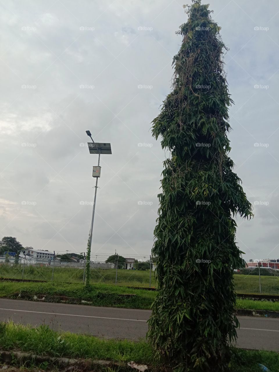 I still stand even when alone