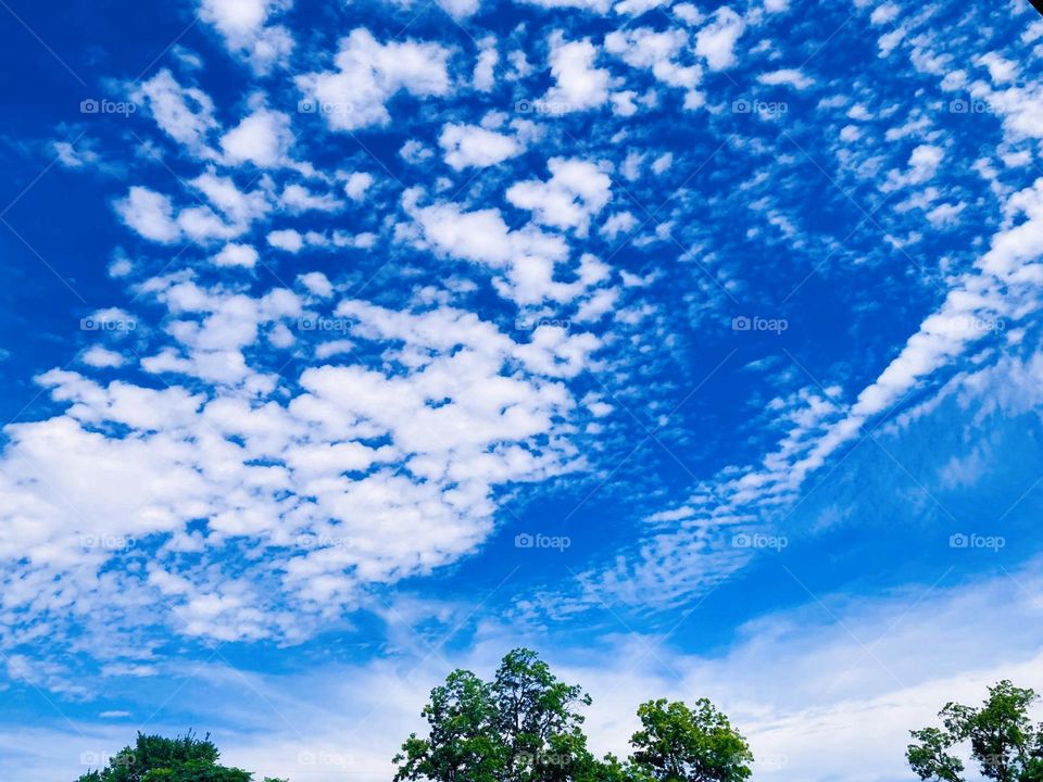 Beautifully shaped clouds in the sky