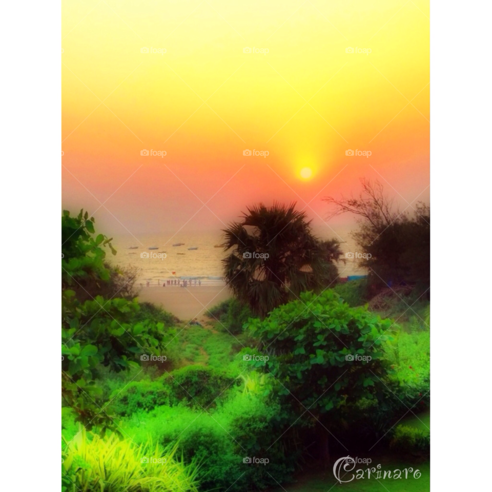 beach sky green yellow by carinaro