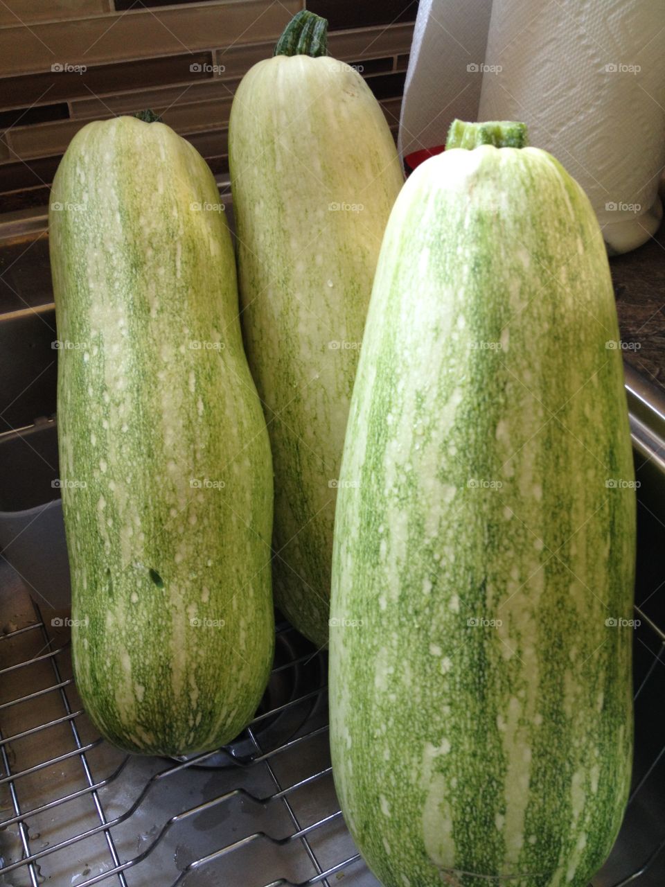 Mega Zucchinis. Huge Zucchinis from the garden