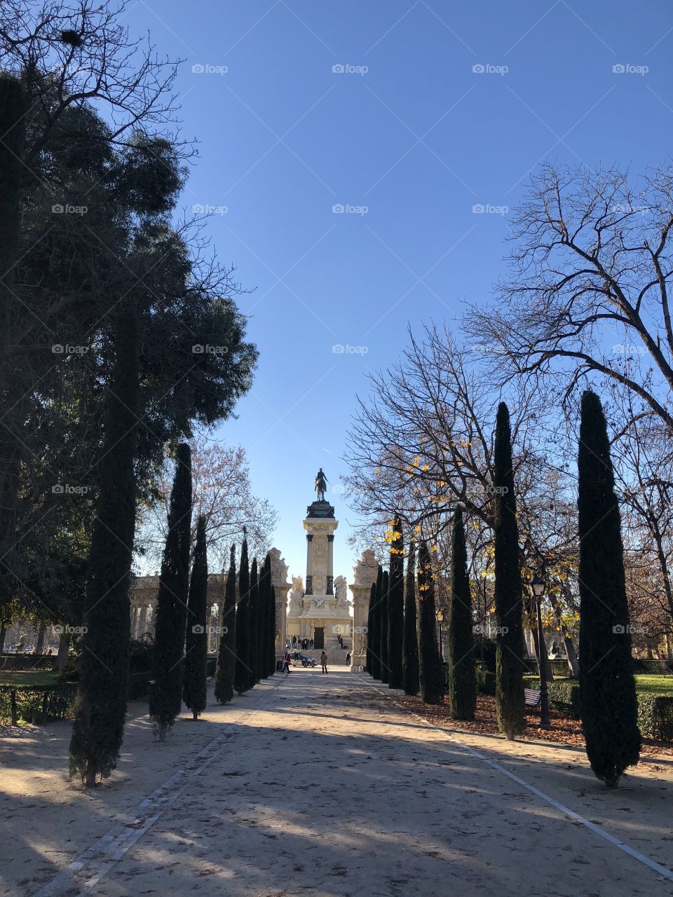 A path of perfectly manicured spruce trees leading to a center statute in a famous park. 