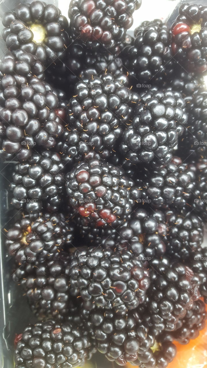 blackberries