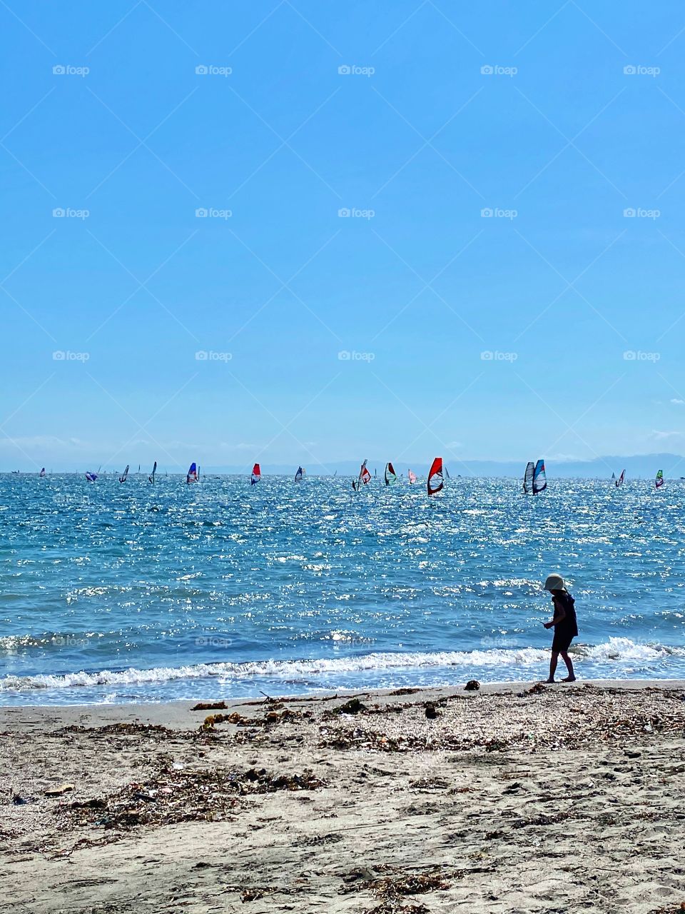 Windsurfing sails of various colours with vast blue sky and ocean, with a young child playing on the beach along the shoreline 