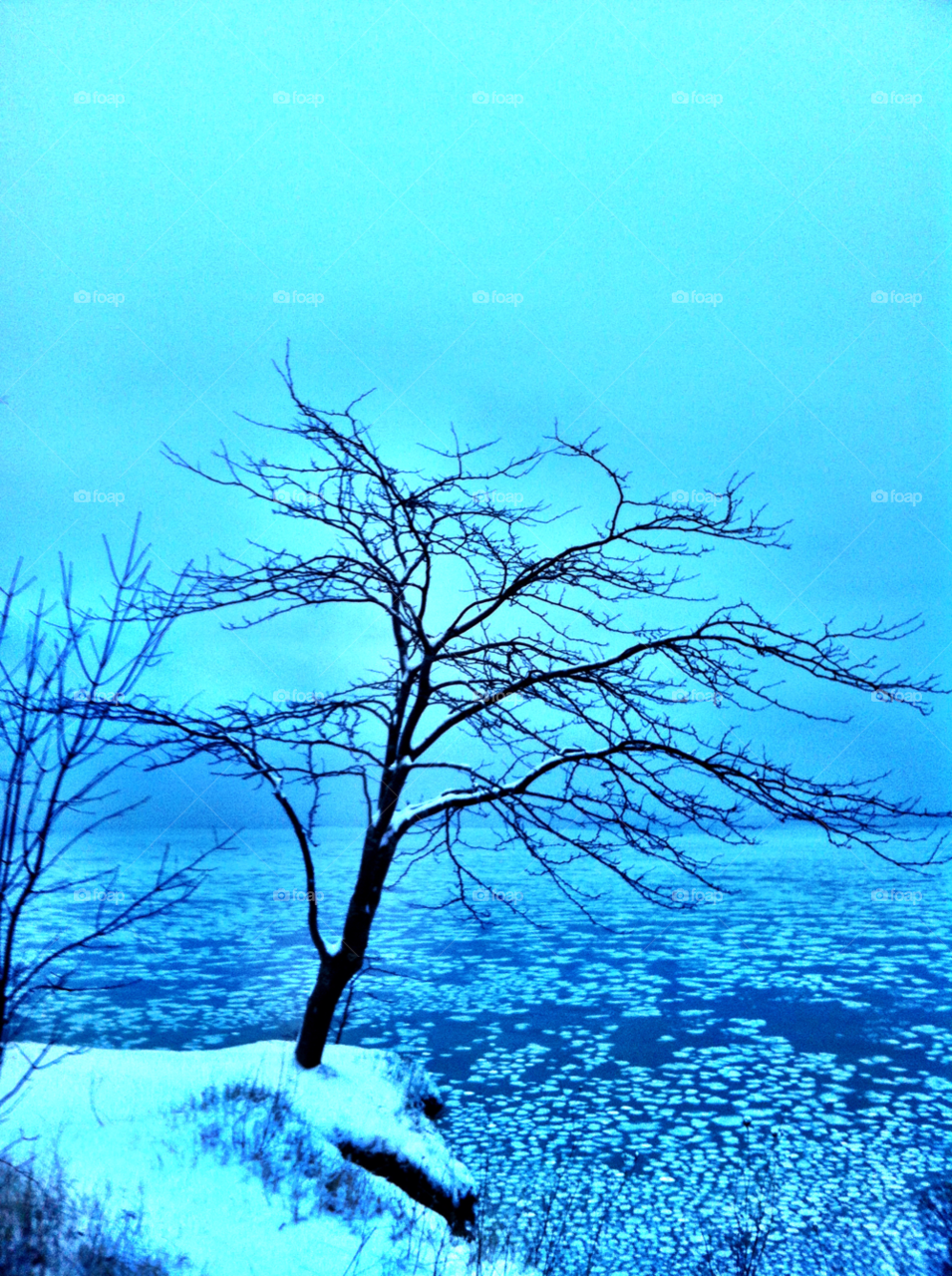 cudahy wi winter branches cliff by doug414