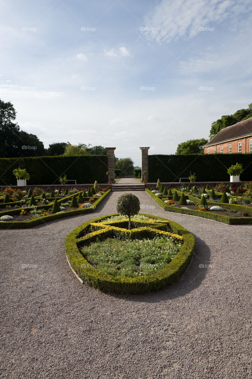 Garden, No Person, Flower, Travel, Road