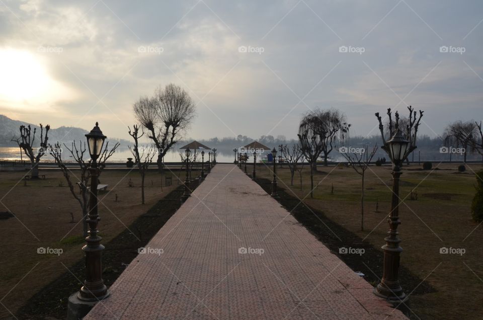 Landscape, No Person, Sunset, Tree, Dawn