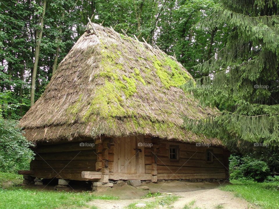 Wooden house in the forest