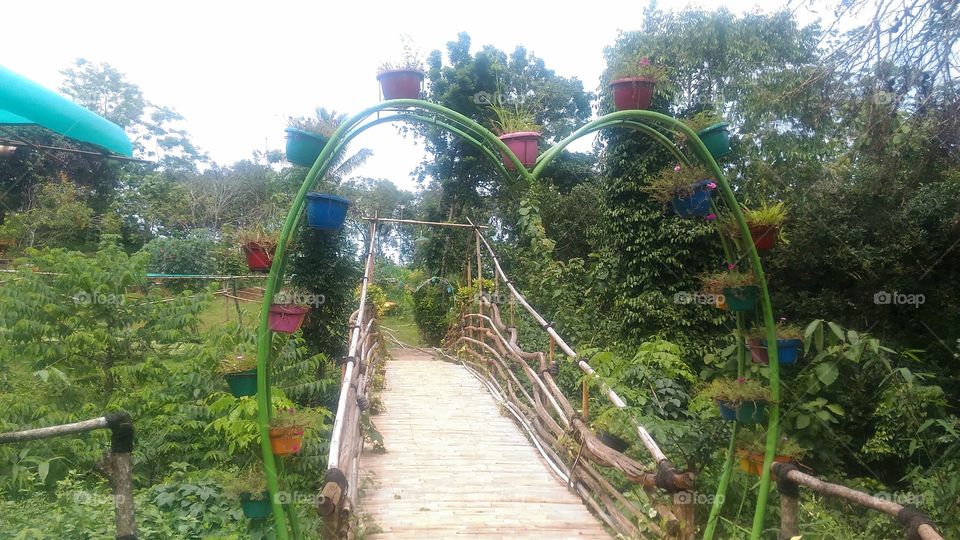 Bamboo bridge in the tourist park