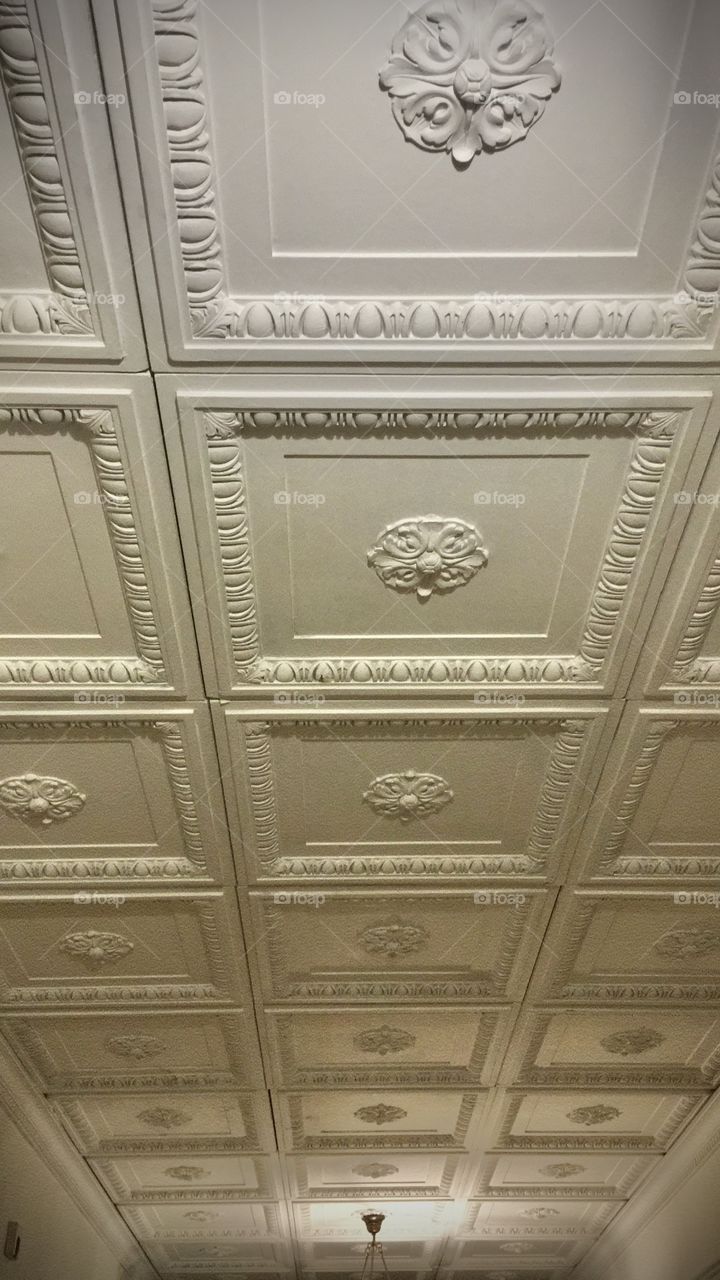 Styled Ceiling 