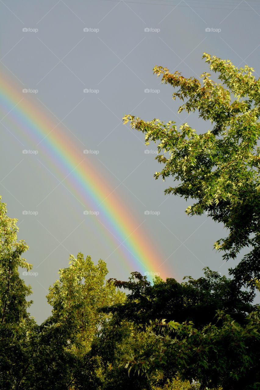 Rainbow, No Person, Nature, Summer, Landscape