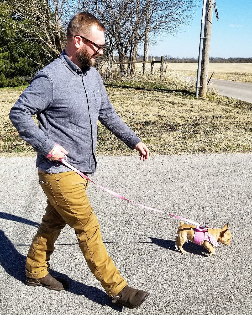 puppy takes owner for a spring walk