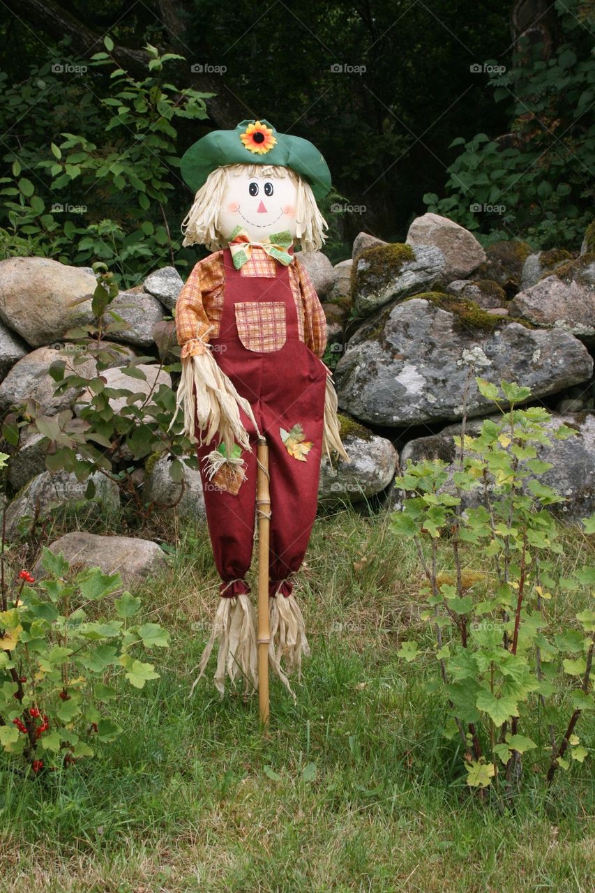 Scarecrow