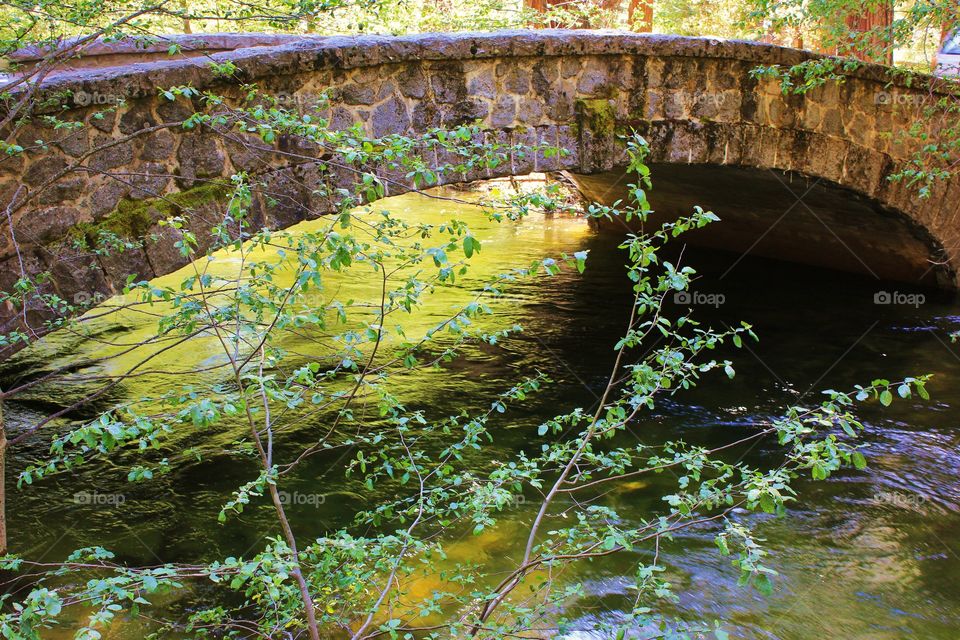 Bridge over water 