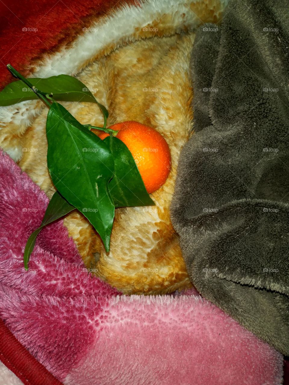 The best of 2021: colors