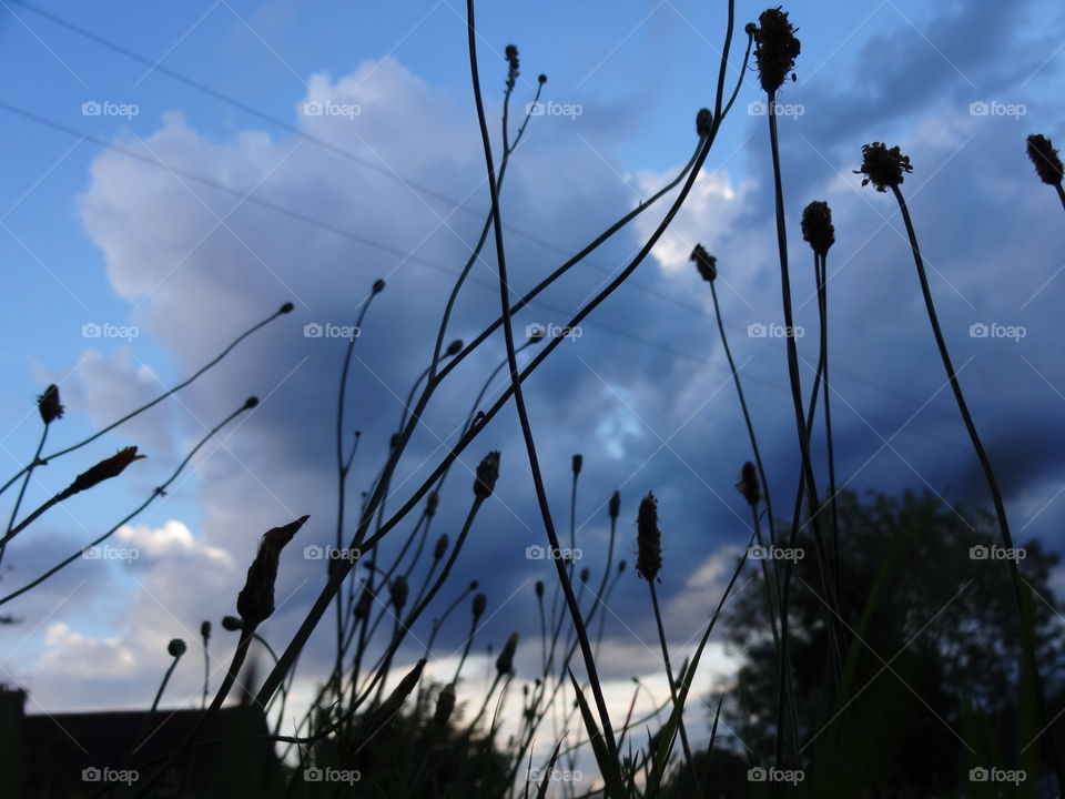 Storm clouds