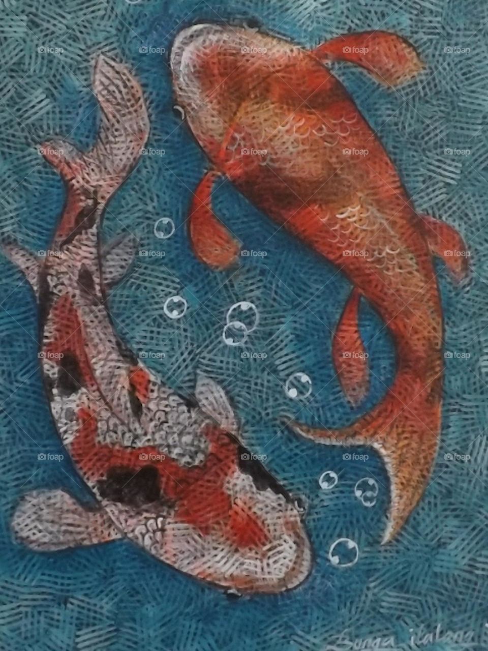 Koi Fish by Bunga Ilalang unique scratch