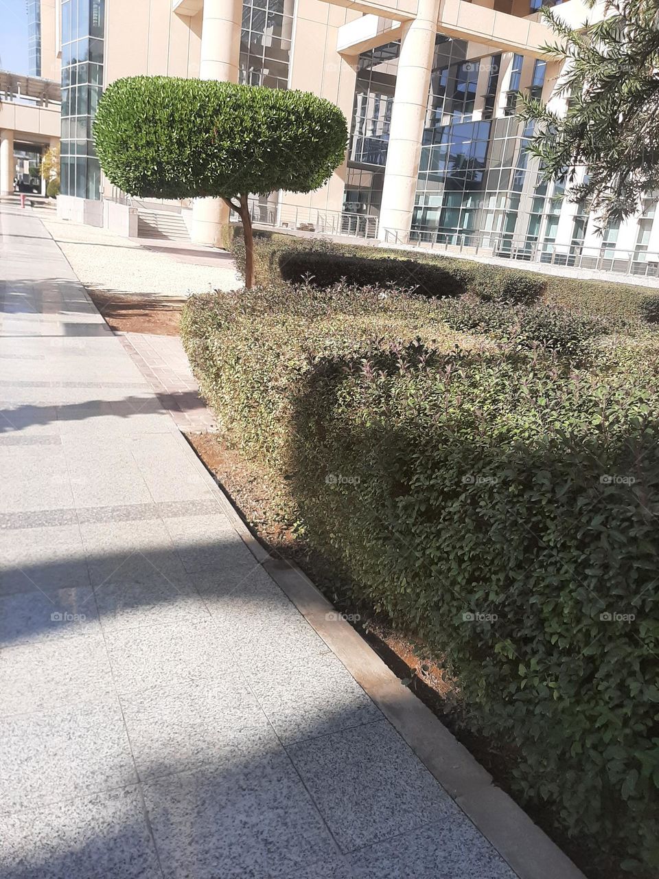 Please help me, I am very poor, I need your support and God is in need