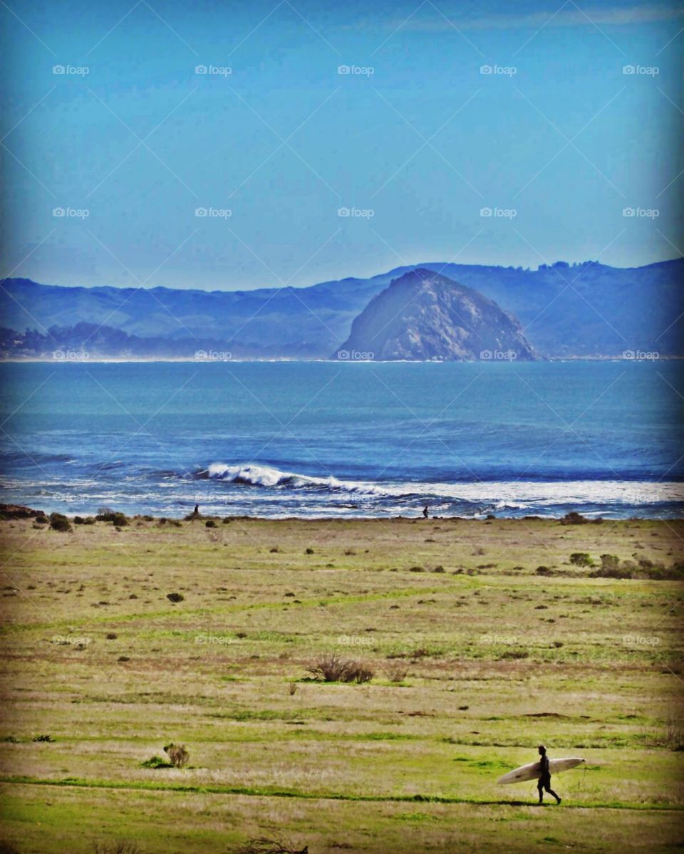 Serene Surfer