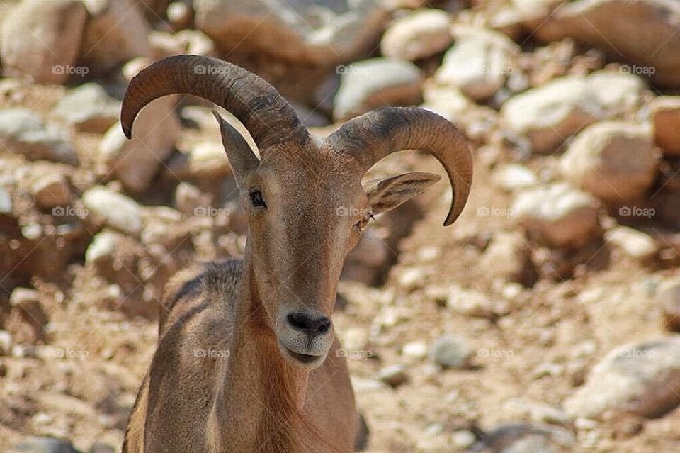 You don't want to mess with me