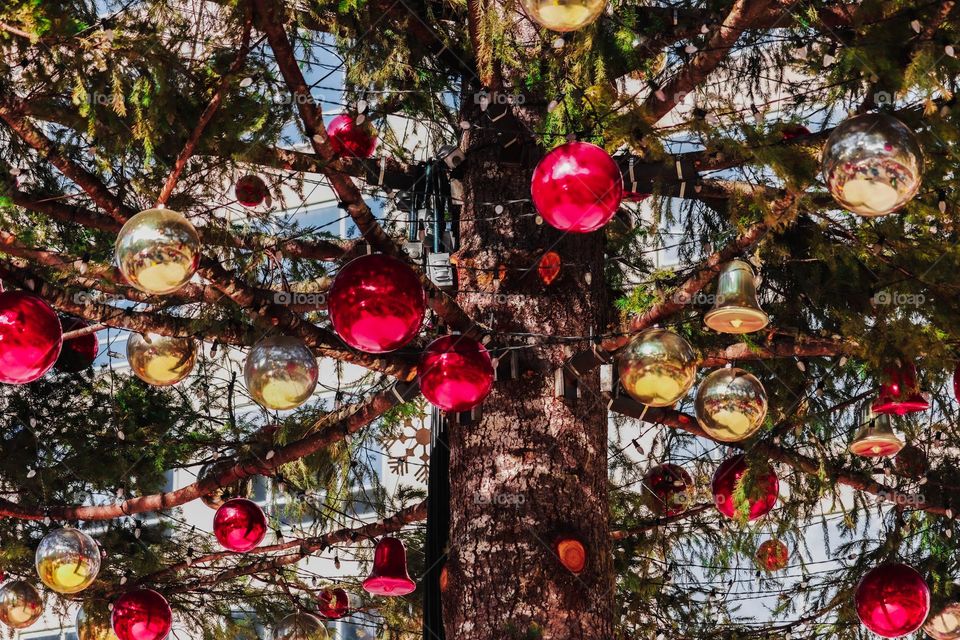 bottom of a Christmas tree