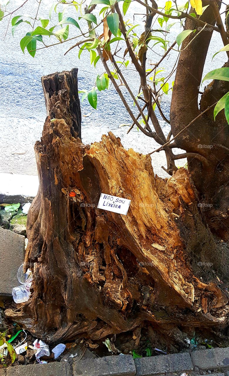 I'm not a trash. Não sou lixeira! Preserve a natureza!!