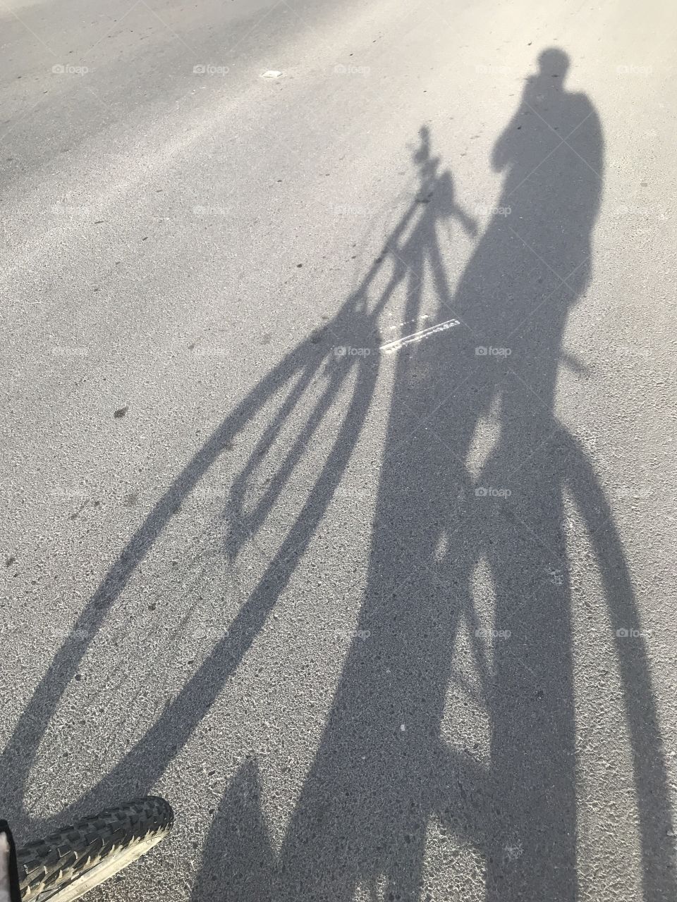 Bike shadow on asphalt street 