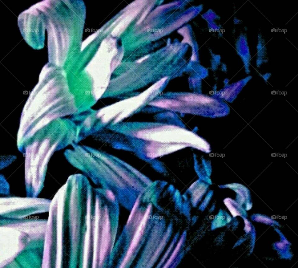 motion. lighting effects